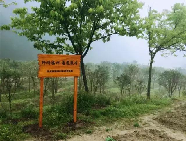 静若处子动如脱兔完整版,静若处子动如脱兔的感悟