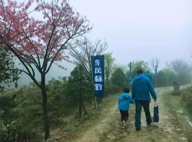 静若处子动如脱兔完整版,静若处子动如脱兔的感悟