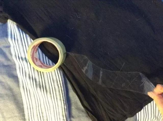 只有养鼠才知道的恶趣味,只有养狗狗的才知道萌宠的乐趣