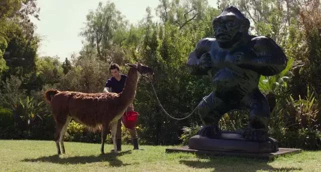 绝命毒师怒怼付兰兰,美国山寨居然这么良心