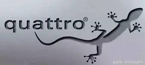 车牌旁边贴壁虎是什么意思,车贴壁虎讲究