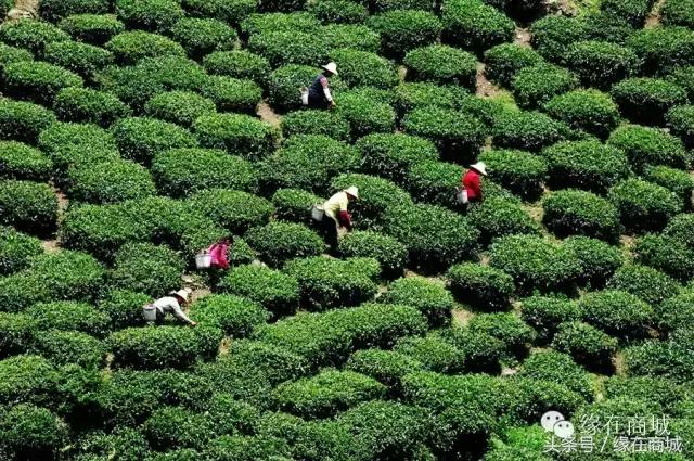 厉害了我的大商城，这是商城县最牛的打开方式……