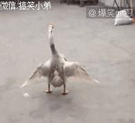 大爷！求你出山吧！中国足球还是得指着*江老**湖啊