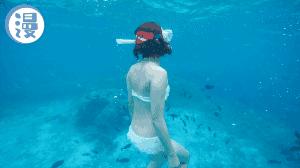 帕劳出行攻略详细 (去帕劳要买哪些东西)