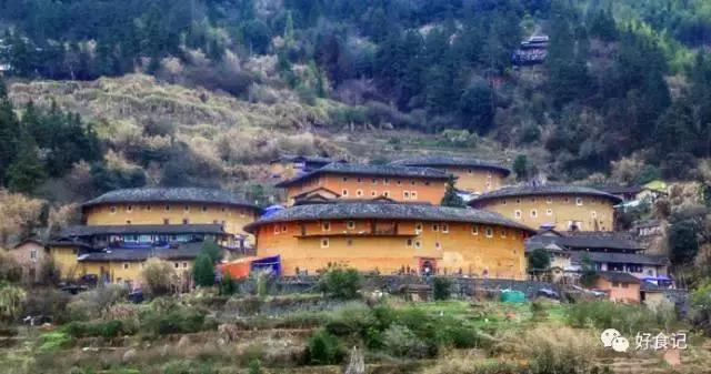 绣球菌成精了!280天的等待,唇齿相依的一刻,你会爱上她吗?