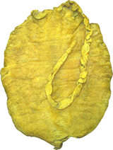 是不是所有的鱼都可以做成鱼汤,加工鱼鳔