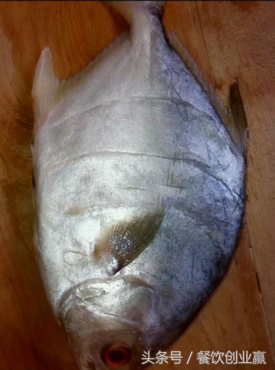 红烧金鲳鱼教学视频,红烧金鲳鱼汁