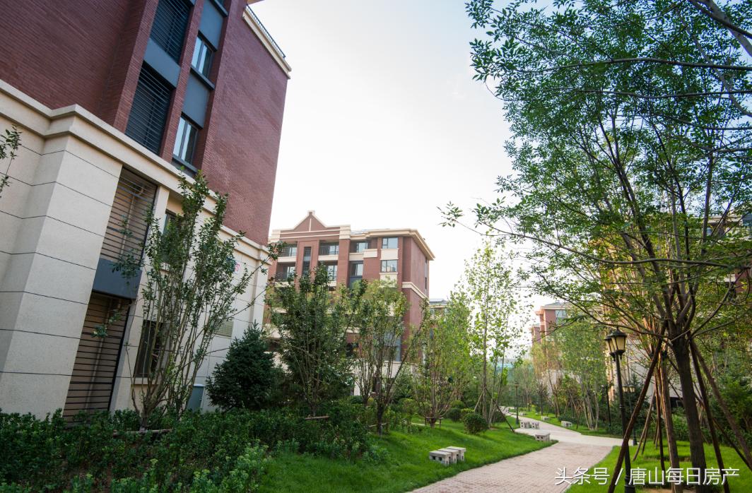 唐山纯洋房有哪些,改善必看唐山洋房大盘点出炉