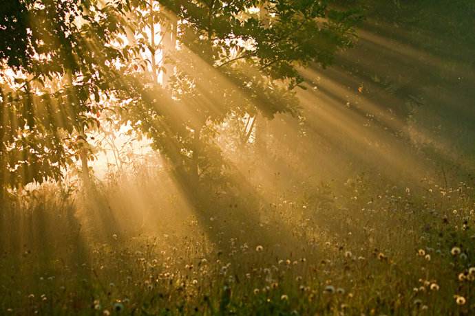 光子嫩肤面罩多久做一次最合适,808光子嫩肤多久做一次最合适