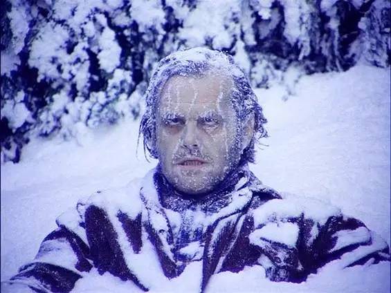 本田思域第十代用黄壳机油怎样 (怎么分辨第十代本田思域劲动版)