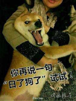 标题你来定,标题你来猜