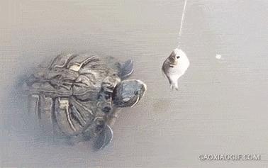 老板娘看我的眼神越来越不对劲,老板娘看我的眼神不对劲