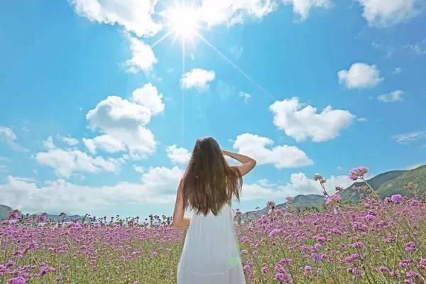 舟山清新海岛旅游攻略,舟山小众海岛游