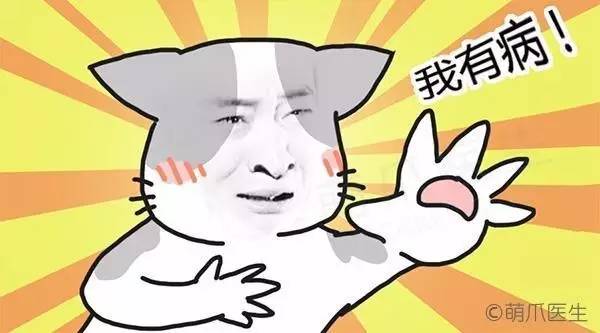 喵的,我都这么痛了!你还看不出来么?!