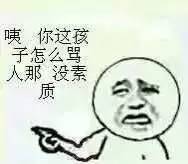我大黑河的东北话，就是这么搞siào！