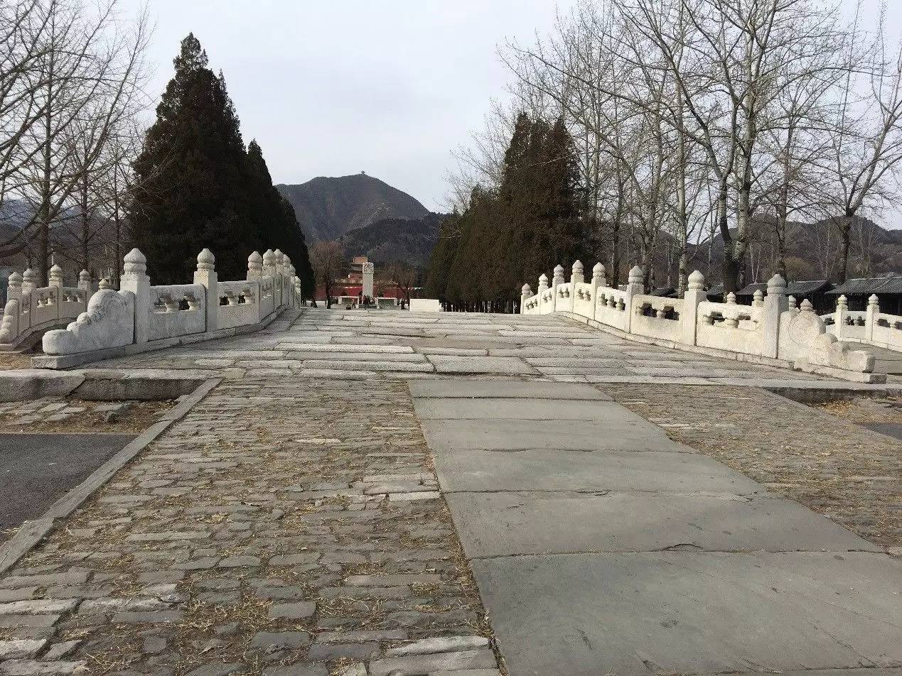 大风车2016视频,大风车2007年视频