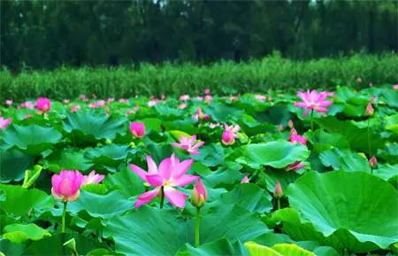 从临沂出发6天攻略,从临沂出发10天旅游最佳路线图