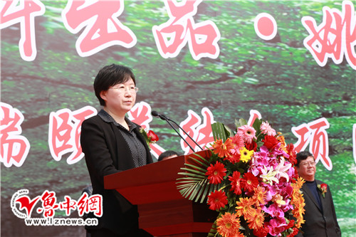 博山万科姚家峪小镇,博山颐养小镇