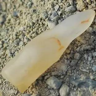 宝石光的三生三世你都知道了吗?