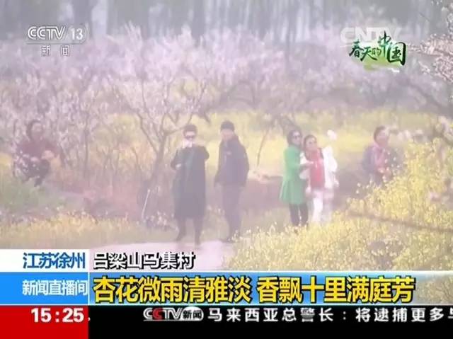 徐州这个村彻底火了，央视一天两次直播！大徐州你咋这么牛