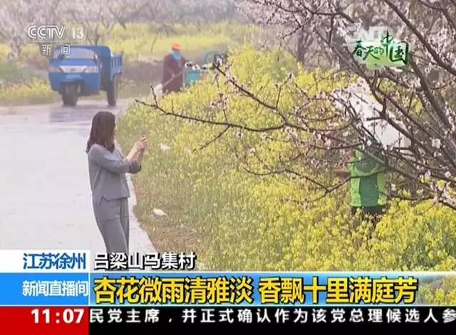 徐州这个村彻底火了，央视一天两次直播！大徐州你咋这么牛