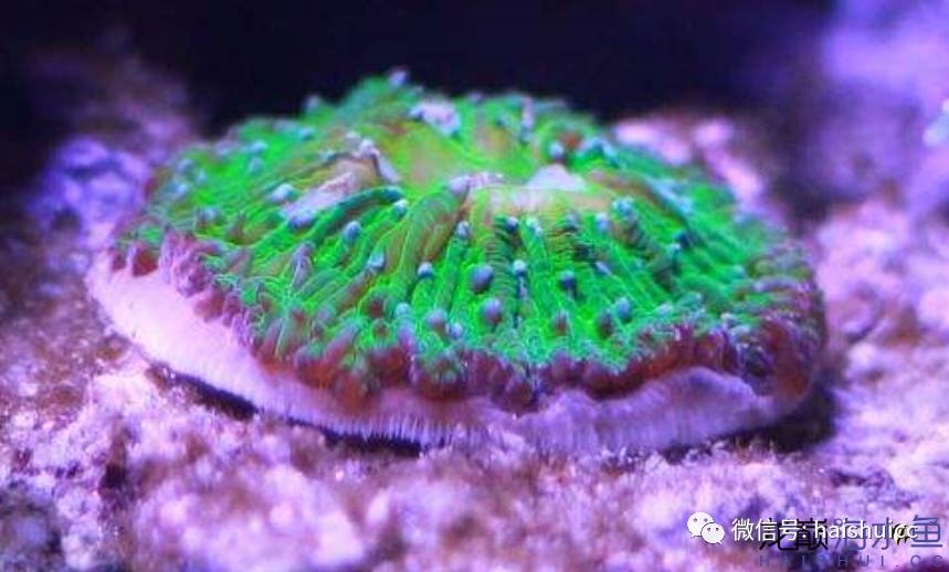 一招搞定水质问题,推荐一款好水