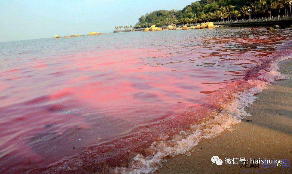 一招搞定水质问题,推荐一款好水