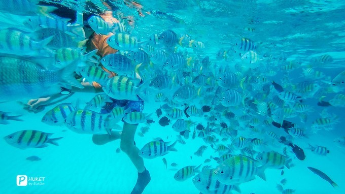 每当海岛又下起了雨,每当海岛又下起了雨读书笔记