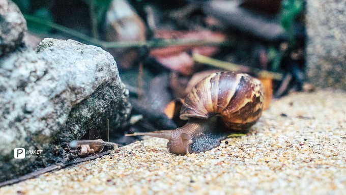 每当海岛又下起了雨,每当海岛又下起了雨读书笔记