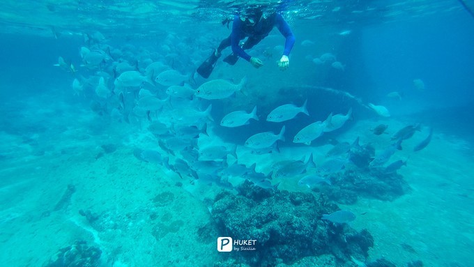 每当海岛又下起了雨,每当海岛又下起了雨读书笔记