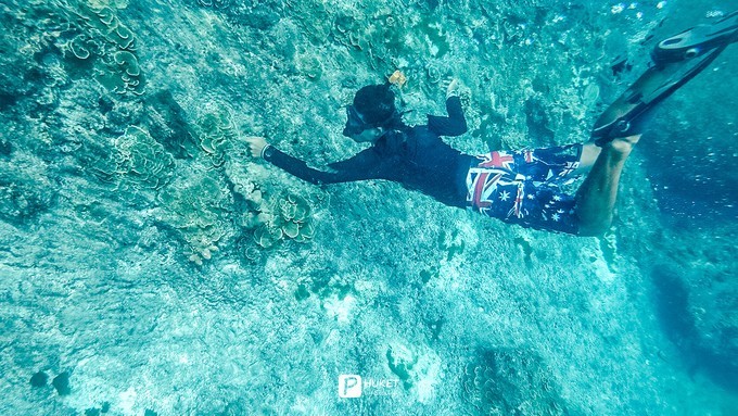 每当海岛又下起了雨,每当海岛又下起了雨读书笔记