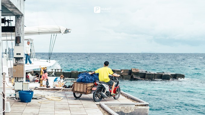 每当海岛又下起了雨,每当海岛又下起了雨读书笔记