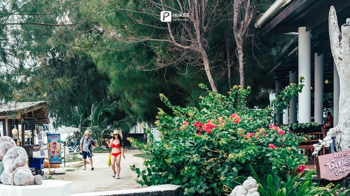 每当海岛又下起了雨,每当海岛又下起了雨读书笔记