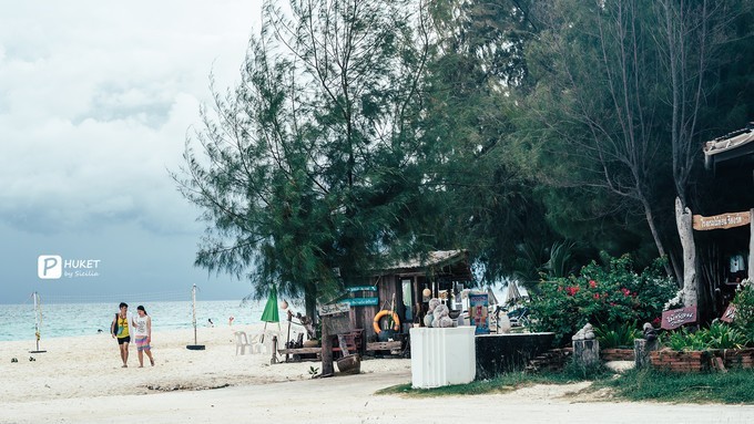 每当海岛又下起了雨,每当海岛又下起了雨读书笔记