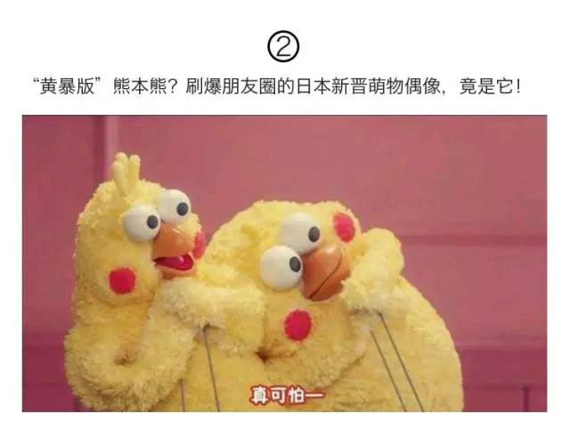 英国女王背双肩包,英国女王专宠乔治王子