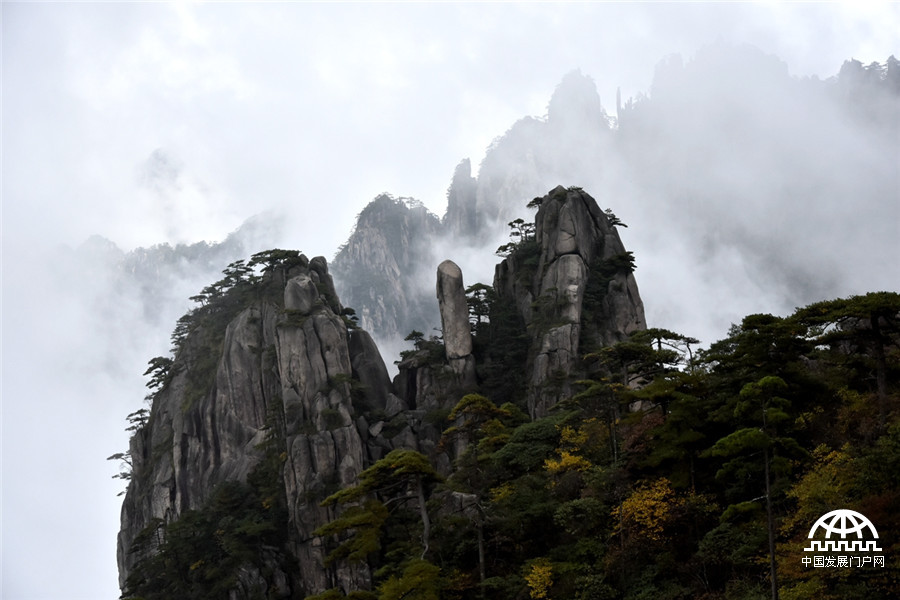迎客松十大名树,迎客松第一名
