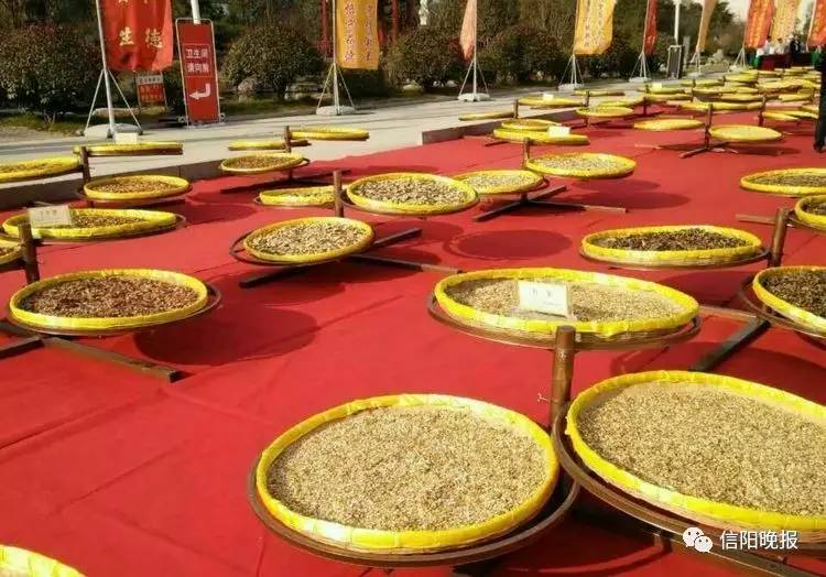 「福利」信阳景福堂国药馆“中医药文化节”大型义诊活动开启!