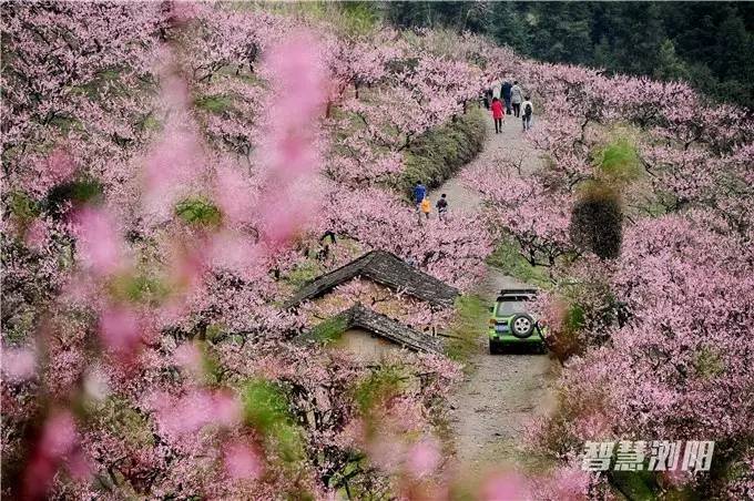10大主题50条旅游精品线路,浏阳夏季游玩攻略