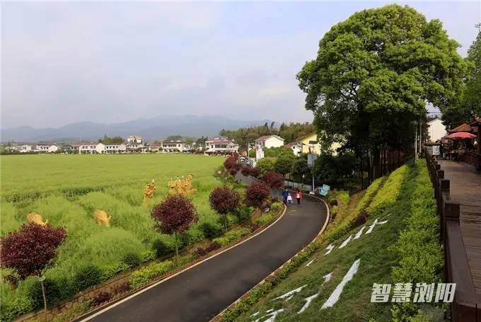 10大主题50条旅游精品线路,浏阳夏季游玩攻略