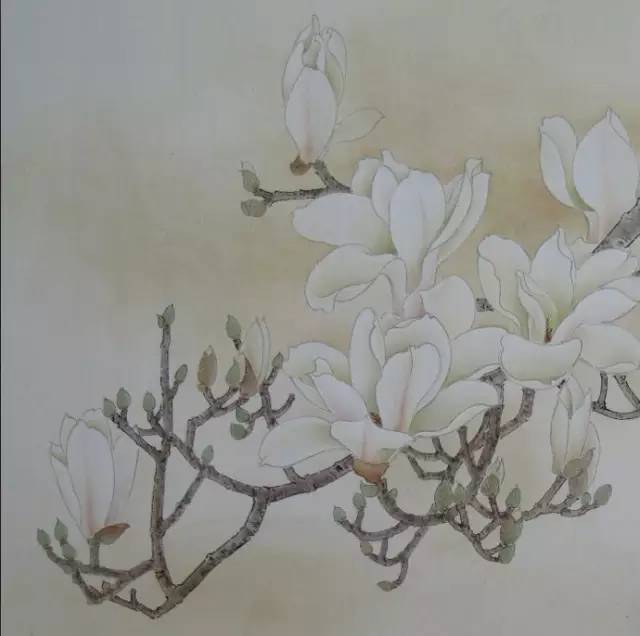 玉兰花儿童绘画,玉兰花绘画作品命名