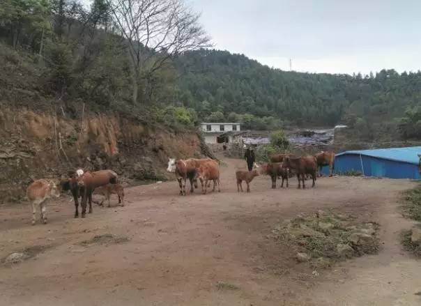 玉林至昆明高铁时刻表,玉林到昆明高铁在哪里换乘方便