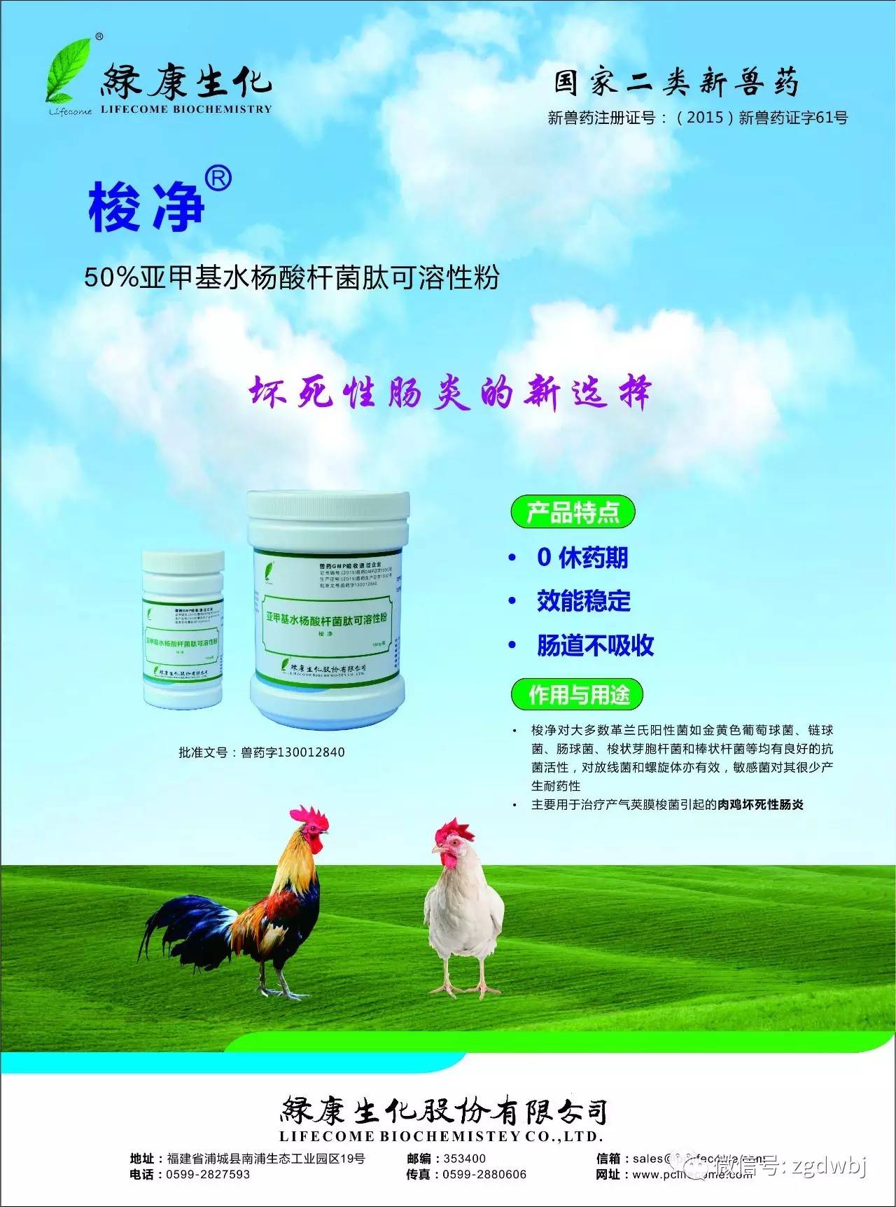 鸡啄癖症的发生与防控措施