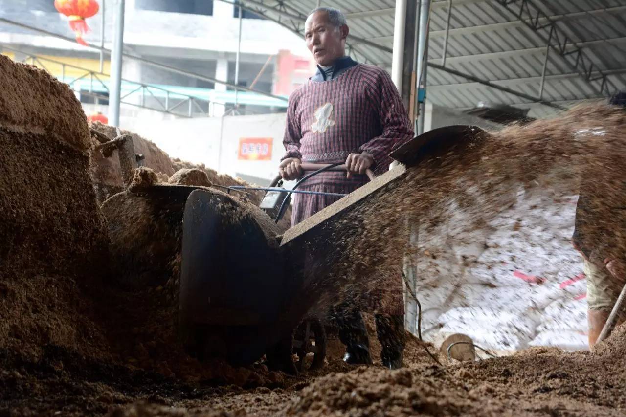 松桃县农村致富,松桃就业