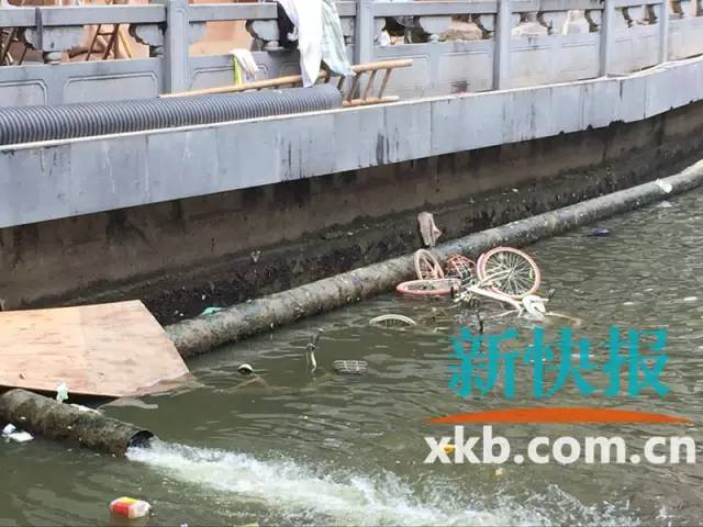 芜湖市免费共享单车,共享单车40万辆涌入广州