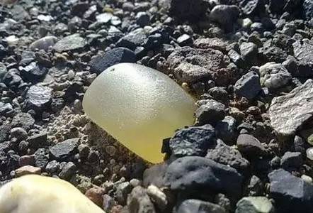 宝石光的三生三世你都知道了吗?