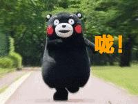 一群人，一个梦｜我系学子连获佳绩