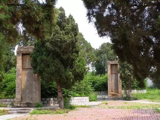 景区年票是怎么办理的,旅游年票的办理时间是多久