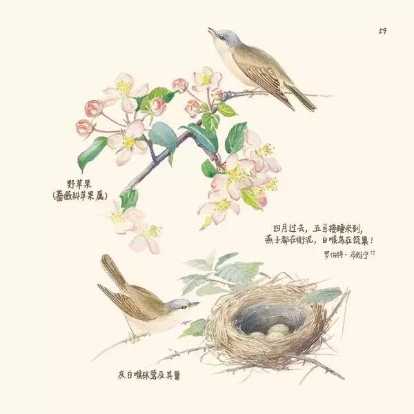 英伦乡野手记,英伦乡野手记读后感