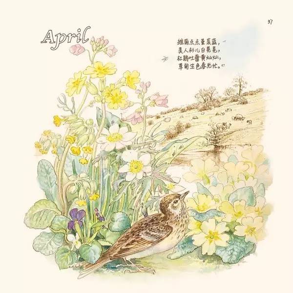 英伦乡野手记,英伦乡野手记读后感