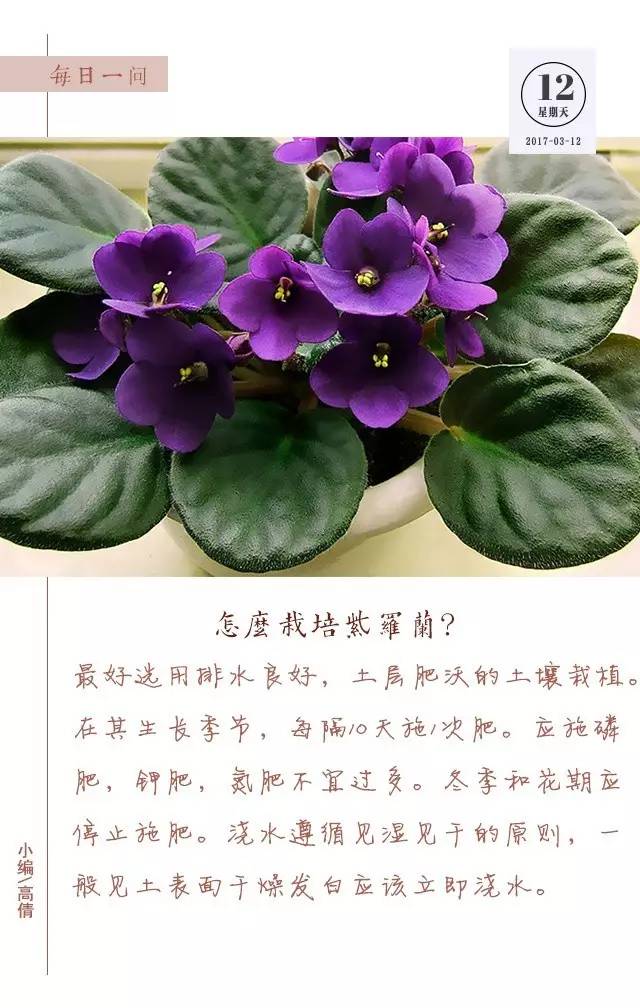 植树节为大自然增添一份绿,3月12日植树节简单小知识